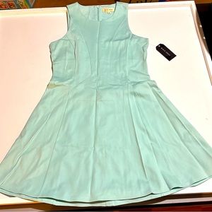 Ladies Black Swan Dress size Large